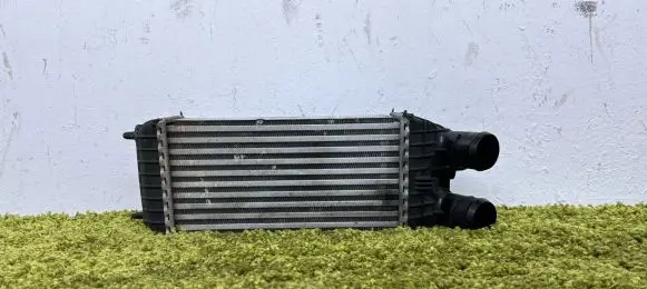 Citroen DS3 Intercooler radiator 9803900780