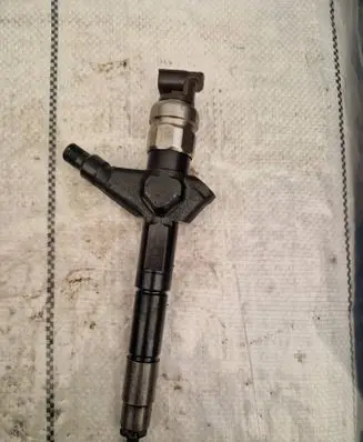 Nissan Navara D40 Fuel injector 16600eb300