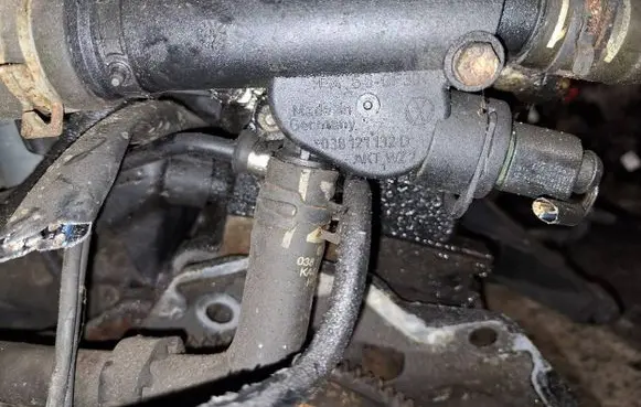 Skoda Superb B5 (3U) Engine coolant pipe/hose 038121132d