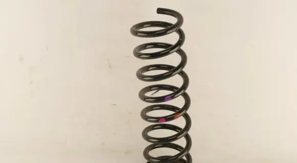 Rear coil spring