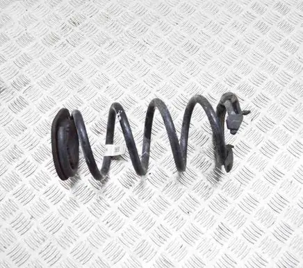 Tesla Model 3 Rear coil spring 104447291E