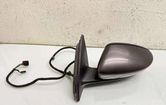 Volkswagen PASSAT B7 Front door electric wing mirror E1021005