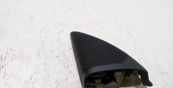 Front door high frequency speaker