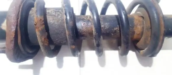 Honda Civic Rear coil spring