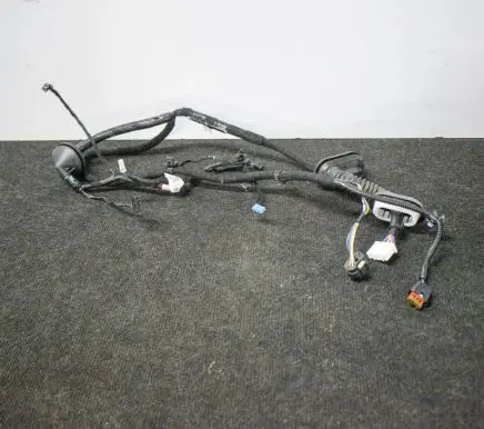 Tesla Model 3 Other wiring loom 206796600A