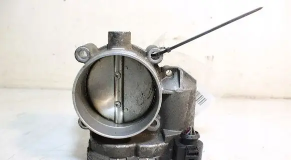 Throttle body valve