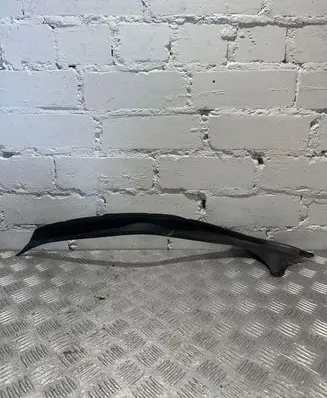 Rear/tail light trim molding