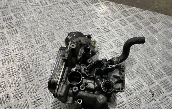 Opel Corsa E Oil filter mounting bracket 55256614
