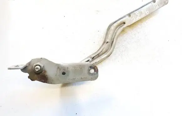 Chrysler Pacifica Engine bonnet/hood hinges 668abd67400