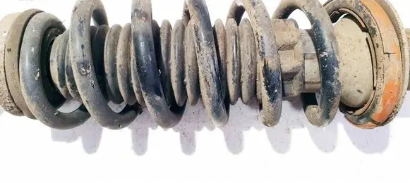 Peugeot 407 Rear coil spring 1653