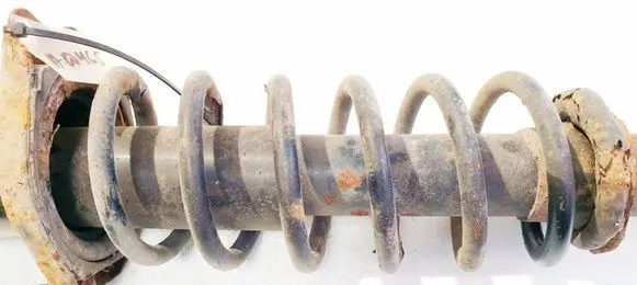 Rear coil spring