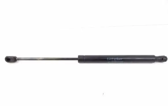 Tailgate strut