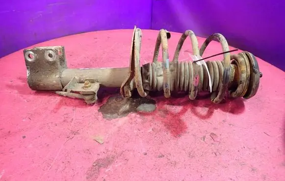 Front shock absorber with coil spring
