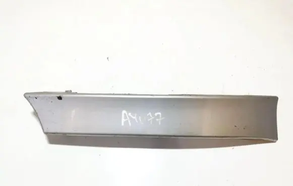 Rear/tail light trim molding