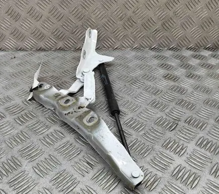 Tailgate/trunk/boot hinge