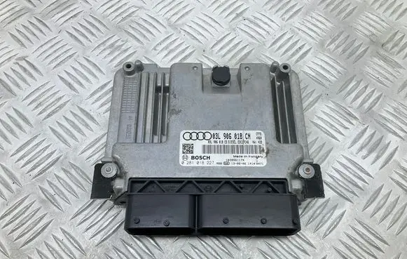 Engine control unit/module ECU