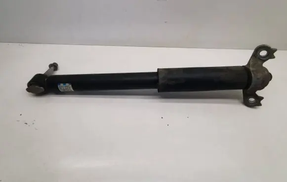 Ford Explorer VI Rear shock absorber/damper LB5C18W002