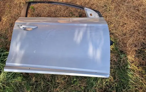 Hyundai Ioniq Front door 76004G2010