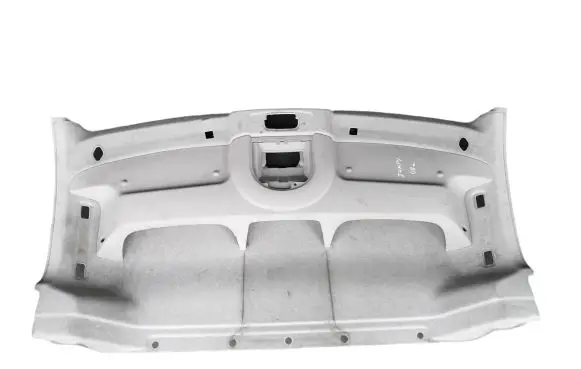 Citroen Jumpy Headlining 14961590BJ 1496918077