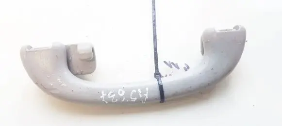 Ford Focus Rear interior roof grab handle