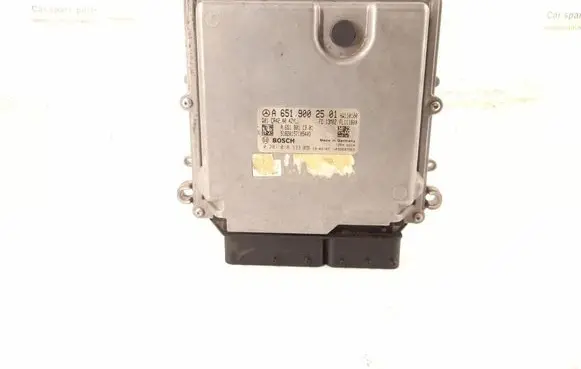Mercedes-Benz GLK (X204) Engine control unit/module 6519002501 A6519002501