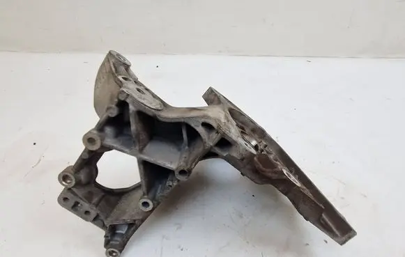 Fiat 500X Fuel pump bracket 55263069