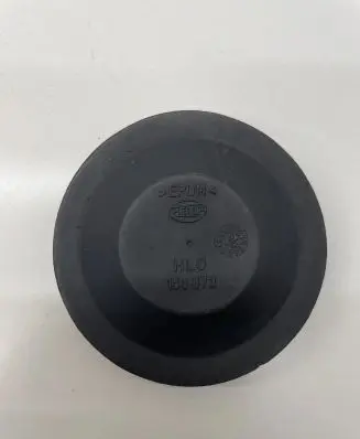 Volkswagen Golf VI Headlight/headlamp dust cover 153873
