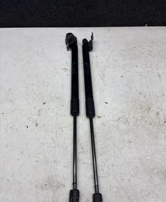 Opel Zafira C Tailgate/trunk strut/damper 13387067