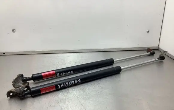 Lexus RX 330 - 350 - 400H Tailgate/trunk strut/damper 2BI02