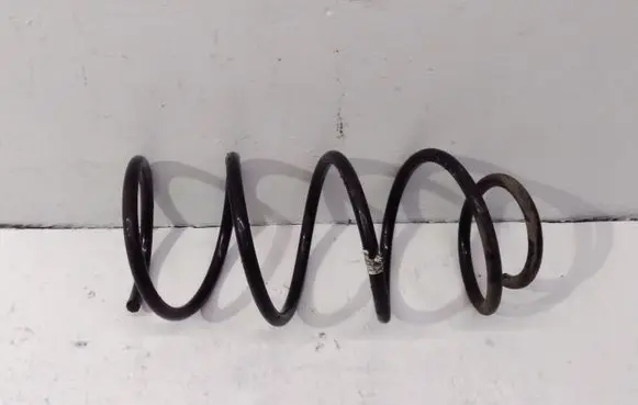 Front coil spring