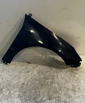 Ford Focus Fender