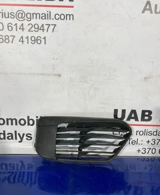 BMW X1 F48 F49 Front bumper lower grill 51117354778
