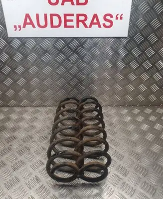 Rear coil spring