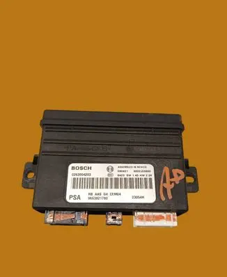 Peugeot 407 Other control units/modules 9663821780
