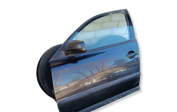 Volkswagen PASSAT B5 Front door 