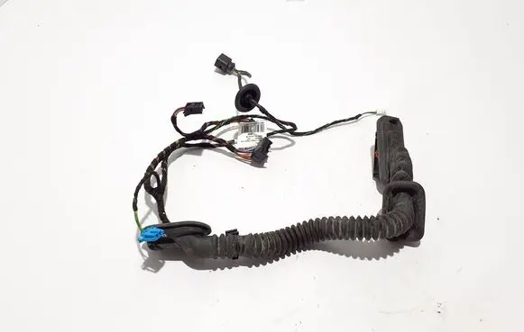 Other wiring loom