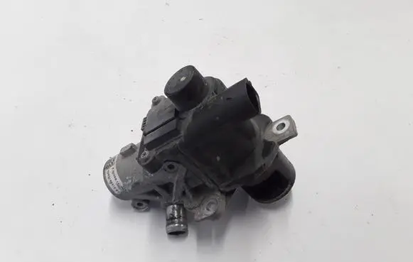 Renault Megane III EGR valve