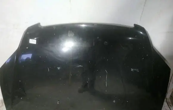 Engine bonnet/hood