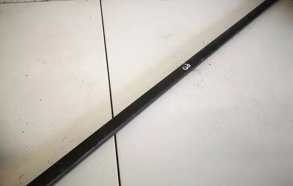 Renault Scenic II - Grand scenic II Front door glass trim molding