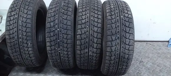 Volkswagen Polo IV 9N3 R15 winter tire SNOWVIVASV1 1856515