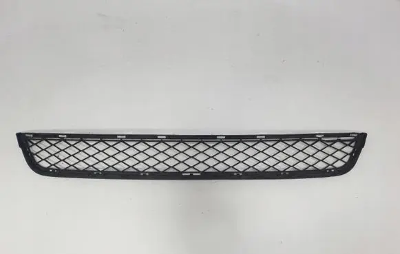 BMW X3 F25 Front bumper lower grill