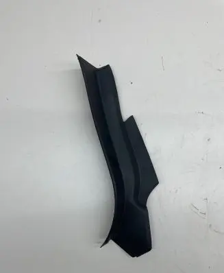 Rear/tail light trim molding