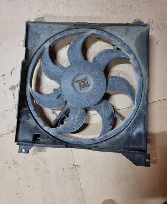 Hyundai Trajet Electric radiator cooling fan F00S3A2192