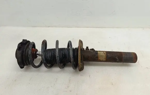 Volkswagen PASSAT B6 Front shock absorber/damper 3C0413031 824904002