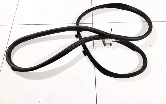 Citroen C4 Grand Picasso Rubber seal rear door 
