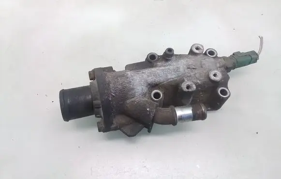 Thermostat/thermostat housing