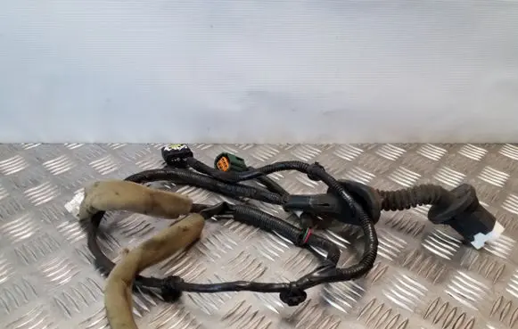 Rear door wiring loom