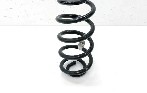 Chevrolet Bolt Rear coil spring 42477247