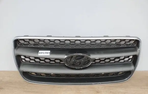 Hyundai Santa Fe Front grill E86561-2B000