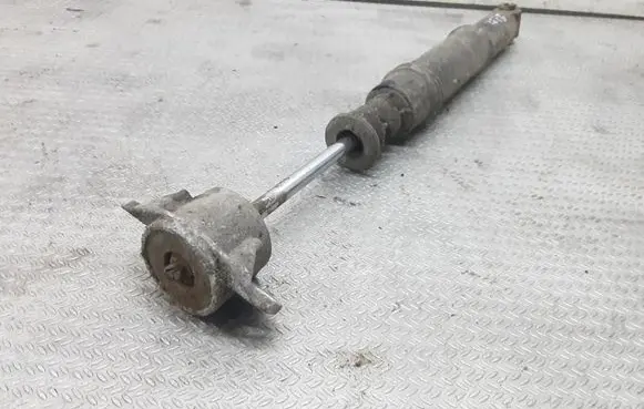 Citroen C4 I Rear shock absorber/damper